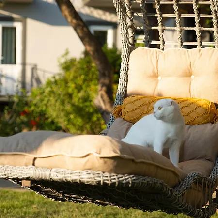 Ξενοδοχείο Kibele Ολουντενίζ